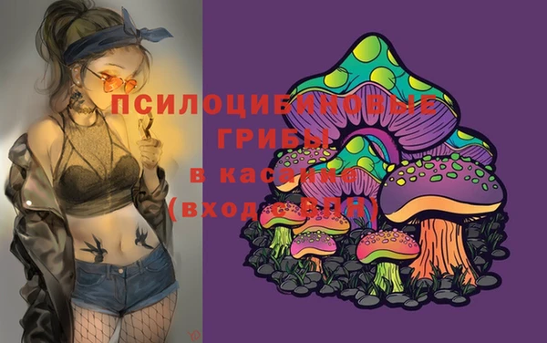 герыч Кулебаки