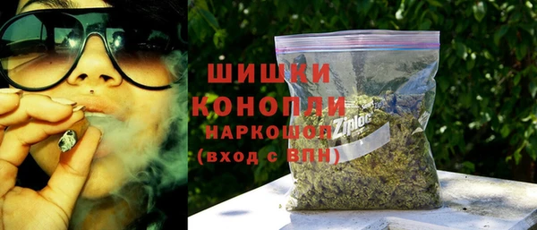 гидра Слюдянка