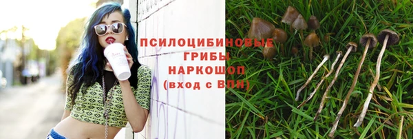 герыч Кулебаки